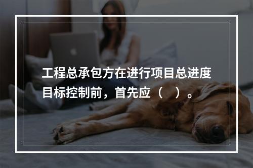 工程总承包方在进行项目总进度目标控制前，首先应（　）。