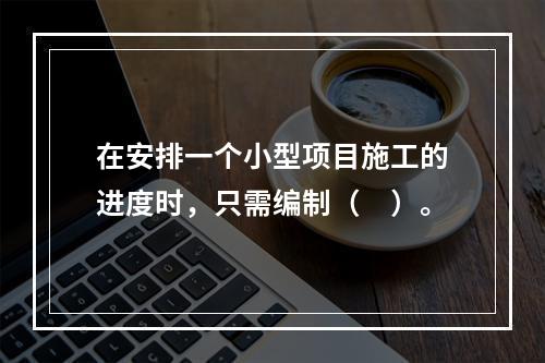 在安排一个小型项目施工的进度时，只需编制（　）。