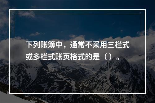 下列账簿中，通常不采用三栏式或多栏式账页格式的是（ ）。