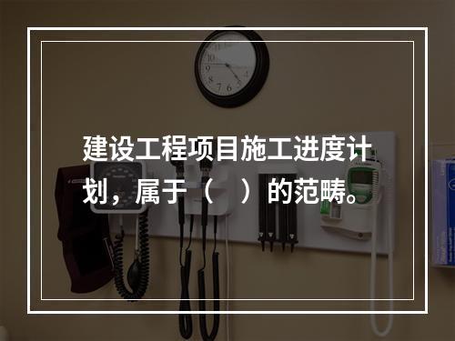 建设工程项目施工进度计划，属于（　）的范畴。