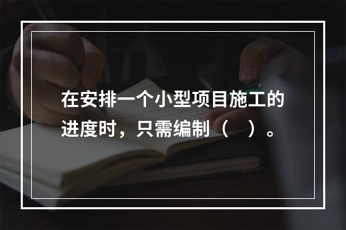 在安排一个小型项目施工的进度时，只需编制（　）。