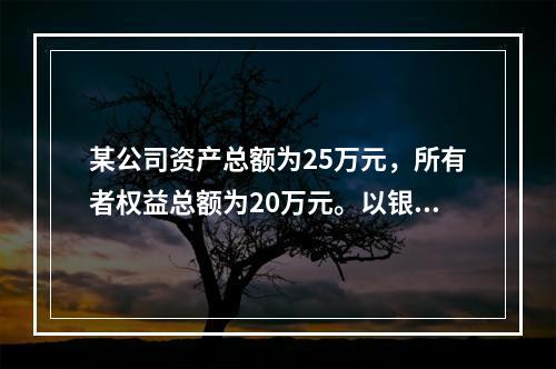 某公司资产总额为25万元，所有者权益总额为20万元。以银行存