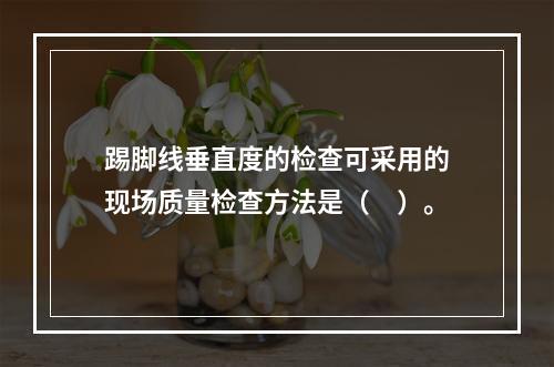 踢脚线垂直度的检查可采用的现场质量检查方法是（　）。