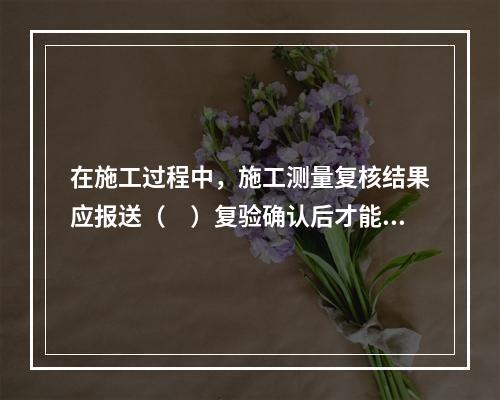 在施工过程中，施工测量复核结果应报送（　）复验确认后才能进行