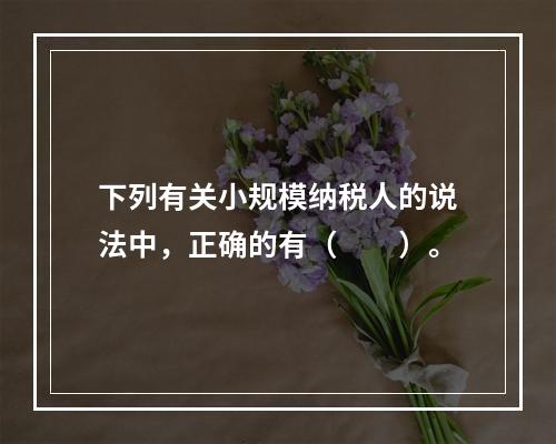 下列有关小规模纳税人的说法中，正确的有（　　）。