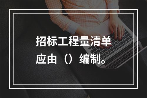 招标工程量清单应由（）编制。