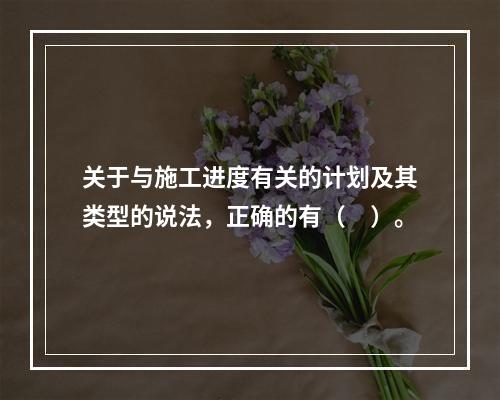 关于与施工进度有关的计划及其类型的说法，正确的有（　）。