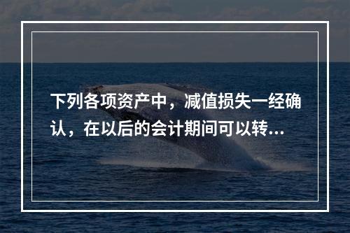 下列各项资产中，减值损失一经确认，在以后的会计期间可以转回的