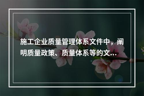 施工企业质量管理体系文件中，阐明质量政策、质量体系等的文件是