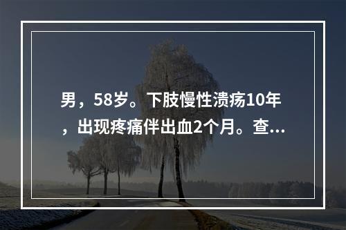 男，58岁。下肢慢性溃疡10年，出现疼痛伴出血2个月。查体：