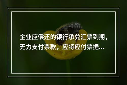 企业应偿还的银行承兑汇票到期，无力支付票款，应将应付票据账面