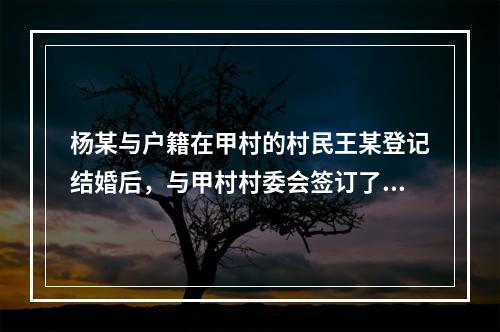 杨某与户籍在甲村的村民王某登记结婚后，与甲村村委会签订了“不