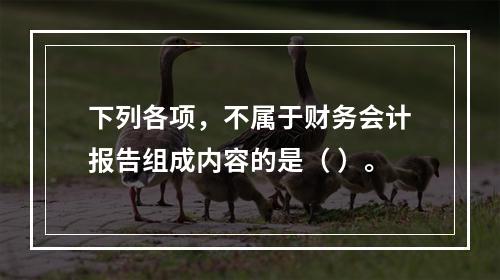 下列各项，不属于财务会计报告组成内容的是（ ）。