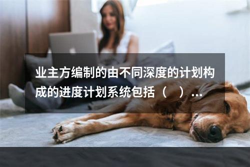 业主方编制的由不同深度的计划构成的进度计划系统包括（　）。