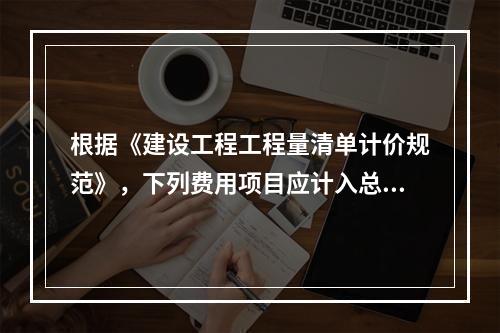 根据《建设工程工程量清单计价规范》，下列费用项目应计入总承包