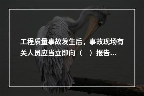 工程质量事故发生后，事故现场有关人员应当立即向（　）报告。