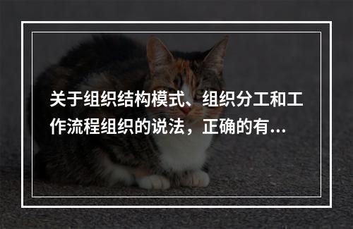 关于组织结构模式、组织分工和工作流程组织的说法，正确的有（　