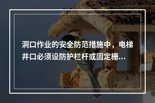 洞口作业的安全防范措施中，电梯井口必须设防护栏杆或固定栅门；