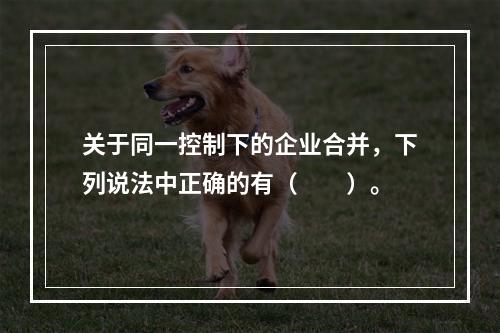 关于同一控制下的企业合并，下列说法中正确的有（  ）。