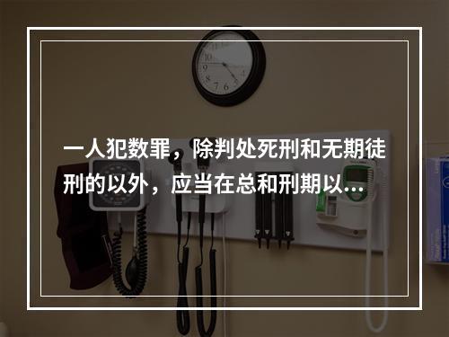 一人犯数罪，除判处死刑和无期徒刑的以外，应当在总和刑期以下、