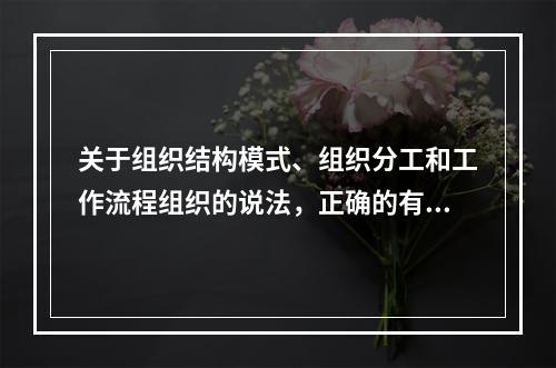 关于组织结构模式、组织分工和工作流程组织的说法，正确的有（　