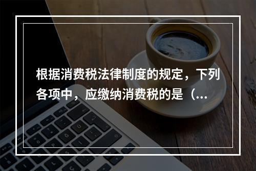 根据消费税法律制度的规定，下列各项中，应缴纳消费税的是（　）