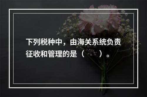 下列税种中，由海关系统负责征收和管理的是（　　）。