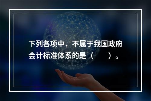 下列各项中，不属于我国政府会计标准体系的是（　　）。