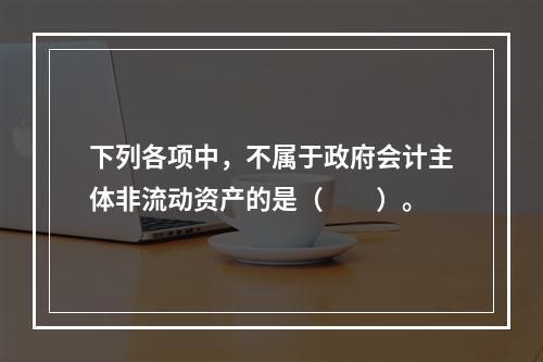 下列各项中，不属于政府会计主体非流动资产的是（　　）。