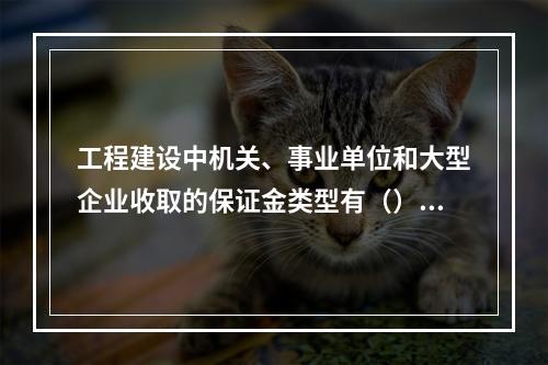 工程建设中机关、事业单位和大型企业收取的保证金类型有（）。