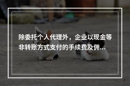 除委托个人代理外，企业以现金等非转账方式支付的手续费及佣金允