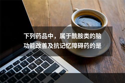 下列药品中，属于酰胺类的脑功能改善及抗记忆障碍药的是