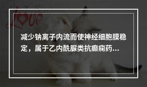 减少钠离子内流而使神经细胞膜稳定，属于乙内酰脲类抗癫痫药的是