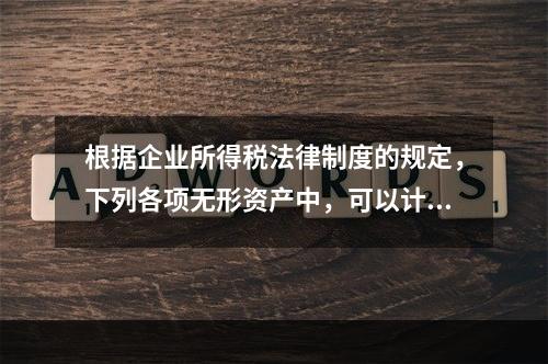 根据企业所得税法律制度的规定，下列各项无形资产中，可以计算摊