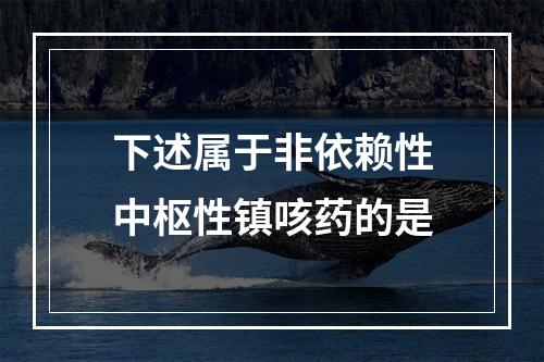 下述属于非依赖性中枢性镇咳药的是