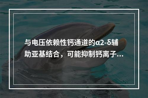 与电压依赖性钙通道的α2-δ辅助亚基结合，可能抑制钙离子内流