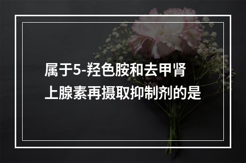 属于5-羟色胺和去甲肾上腺素再摄取抑制剂的是