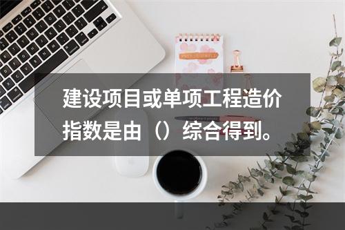 建设项目或单项工程造价指数是由（）综合得到。