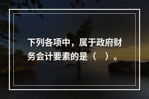 下列各项中，属于政府财务会计要素的是（　）。