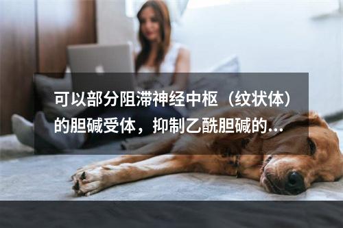 可以部分阻滞神经中枢（纹状体）的胆碱受体，抑制乙酰胆碱的兴奋