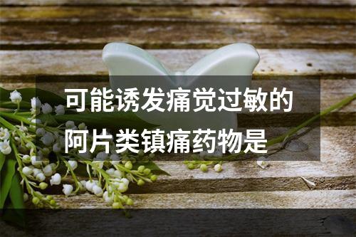 可能诱发痛觉过敏的阿片类镇痛药物是