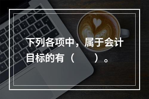 下列各项中，属于会计目标的有（　　）。