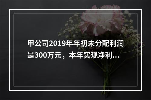 甲公司2019年年初未分配利润是300万元，本年实现净利润5