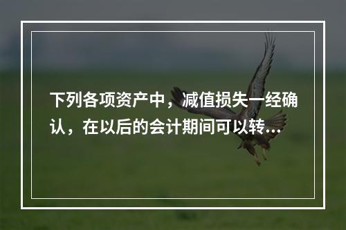 下列各项资产中，减值损失一经确认，在以后的会计期间可以转回的