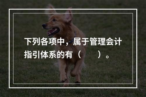 下列各项中，属于管理会计指引体系的有（　　）。