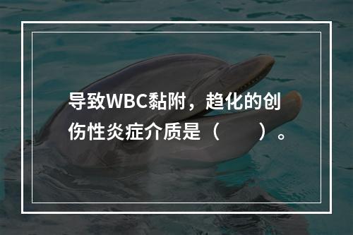 导致WBC黏附，趋化的创伤性炎症介质是（　　）。