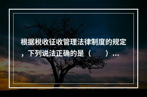 根据税收征收管理法律制度的规定，下列说法正确的是（　　）。