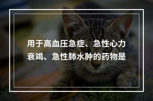 用于高血压急症、急性心力衰竭、急性肺水肿的药物是