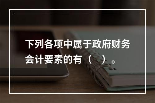 下列各项中属于政府财务会计要素的有（　）。