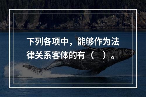 下列各项中，能够作为法律关系客体的有（　）。